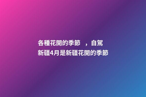 各種花開的季節，自駕新疆4月是新疆花開的季節-第1張-觀點-玄機派